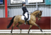 Ponyclub Klein Maar Dapper behaalt goede resultaten