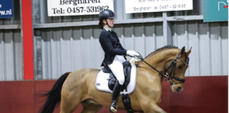 Ponyclub Klein Maar Dapper behaalt goede resultaten