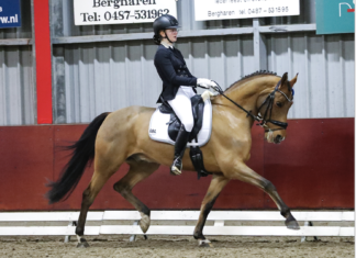 Ponyclub Klein Maar Dapper behaalt goede resultaten