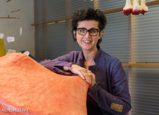 Ingrid Slaa vertrekt uit gemeenteraad