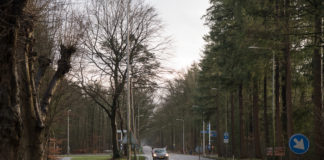 Nieuw overleg terugdringen aantal aanrijdingen met wild