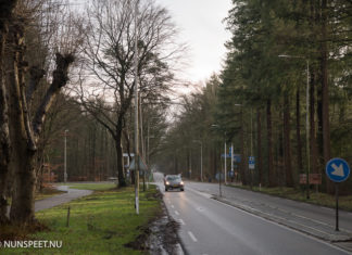 Nieuw overleg terugdringen aantal aanrijdingen met wild