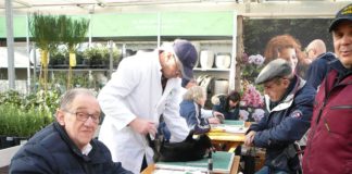 Veluwemeershow ‘Ons Ideaal’ bij tuincentrum GroenRijk in Nunspeet