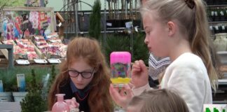 Knutsel bij GroenRijk voor KiKa
