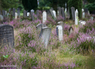 Uitvoering omvormingsplan begraafplaats Elspeet
