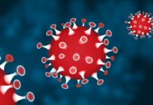 Forse beperkingen voor Veluwse- en Achterhoekse recreatiesector