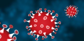 Aanvullende maatregelen onderwijs, horeca, sport