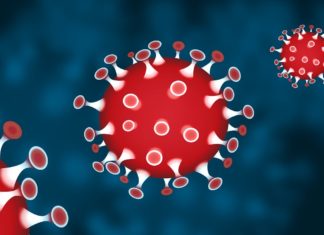 Alle activiteiten die 18 april in het kader van Bevrijdingsdag zouden worden gehouden zijn afgelast of worden verzet