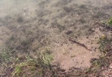 Enorme drukte in de Zandenplas