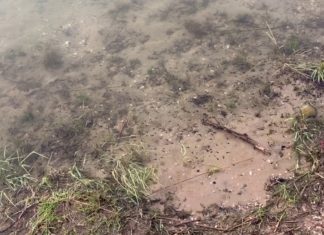 Enorme drukte in de Zandenplas