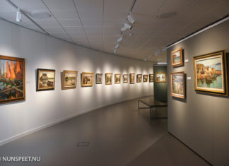 Ondersteuning cultuur Veluvine en het Noord-Veluws Museum
