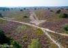 Inschrijving 13e Nunspeetse Heideloop geopend