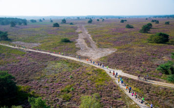 Inschrijving 13e Nunspeetse Heideloop geopend