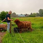 Het favoriete plekje van Gerard Mulder