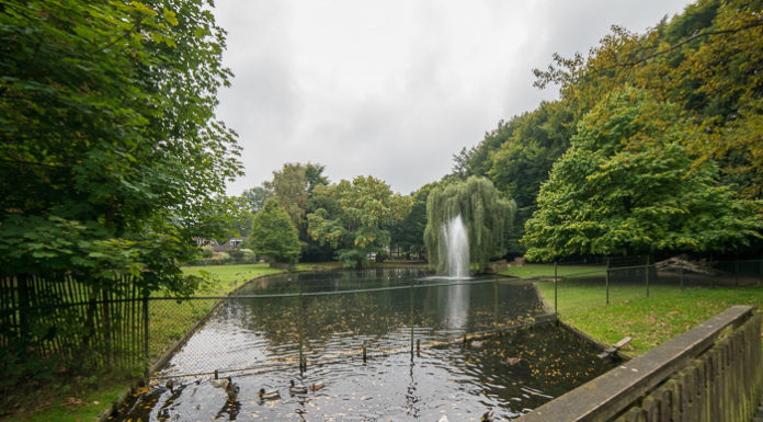 Overlast in het Edzard Koningspark