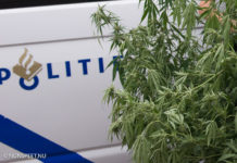 Hennepkwekerij in woning aangetroffen