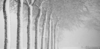 Wat weer gewoonte wordt