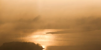 Nunspeets hardlopers doen zaterdag een ‘Rondje Veluwemeer’