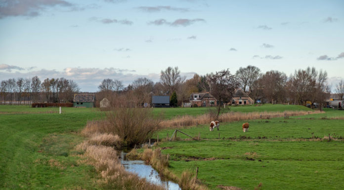 De Kerkdijk door Het Goor