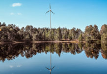De wespendief wint het van de windmolen