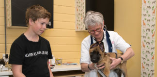 Dierenartsenpraktijk bij Agro Tuin en Dier