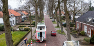 Ploffen monumentale bomen aan de Laan