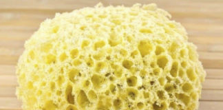 Gebakken sponzen gevonden in Nunspeet-West