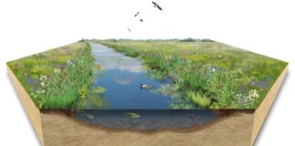 Aanleg tochtsloot in gebied de Bloemkampen