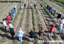 Whatever happens… Stay connected