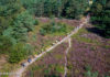 De Nunspeetse Heideloop op zaterdag 4 september