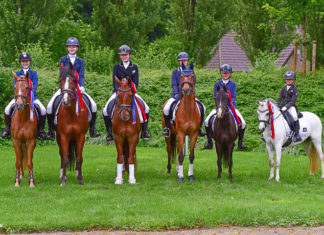 Zes kringkampioenen bij ponyclub Klein Maar Dapper