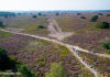 Inschrijving 13e Nunspeetse Heideloop geopend