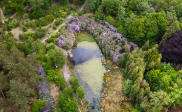 Venherstel Zandenbos in voorbereiding