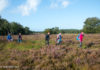 Succesvolle 13e editie Nunspeetse Heideloop