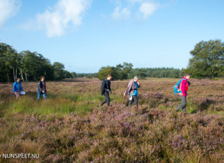 Succesvolle 13e editie Nunspeetse Heideloop