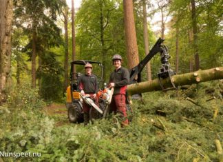 24 uur met boomverzorger Joachim Storm