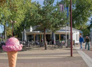 Froyo & Limburgia sluit haar deuren