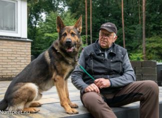 Passie voor Duitse herders