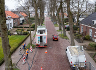 Ploffen monumentale bomen langs de Laan