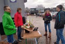 PvdA GroenLinks deelt beuken uit en pleit voor een bomenhub