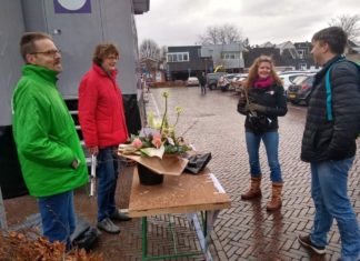 PvdA GroenLinks deelt beuken uit en pleit voor een bomenhub