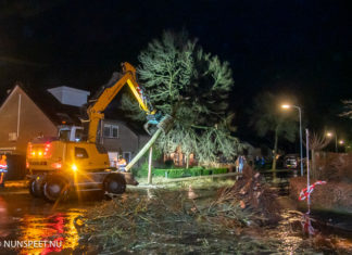 Boom omgewaaid en deel van de Jan Topweg onder water