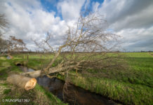 Veel schade in de gemeente Nunspeet door storm Eunice
