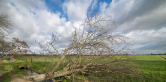 Veel schade in de gemeente Nunspeet door storm Eunice