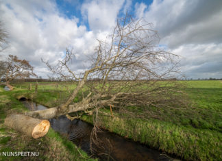 Veel schade in de gemeente Nunspeet door storm Eunice