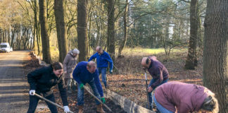 Veilige oversteek voor padden