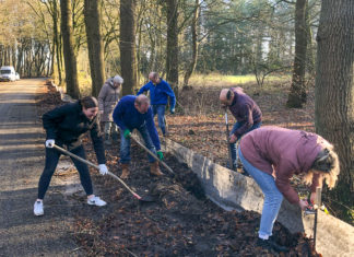 Veilige oversteek voor padden