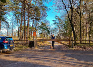 CDA-lijsttrekker Stoffer: “Parkeren bij Noorderheide moet mogelijk blijven”