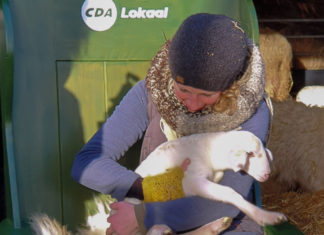 Een vorstelijke zit bij de schaapskooi in Elspeet