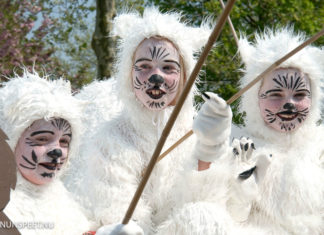 De optocht keert tijdens Koningsdag terug in het straatbeeld van Hulshorst